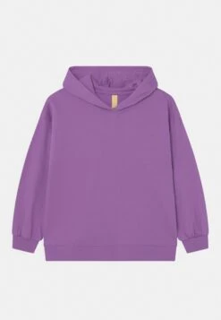 Friboo Hoodie 2 Pack - Sudadera - Purple/Light Grey -Friboo Tienda da2dec0af23149c6bc5d46322ccb9f02